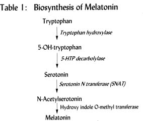 Chemical processes - Melatonin